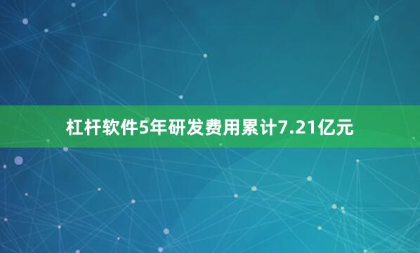 杠杆软件5年研发费用累计7.21亿元