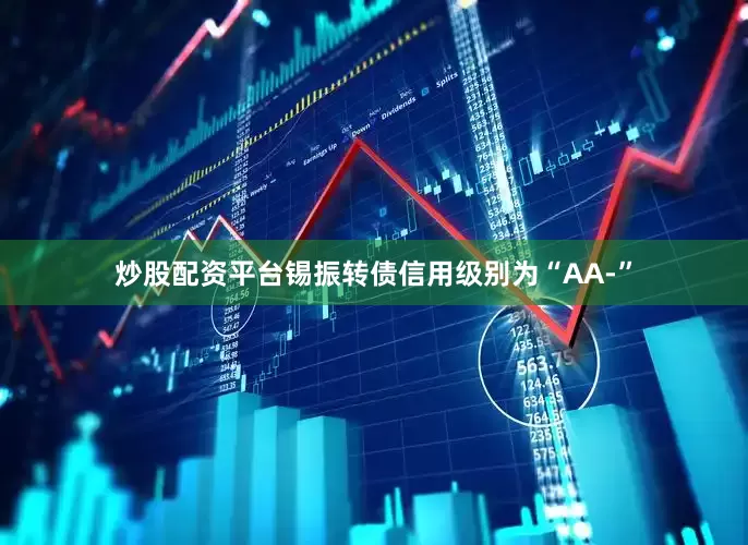 炒股配资平台锡振转债信用级别为“AA-”