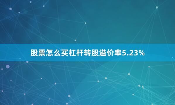 股票怎么买杠杆转股溢价率5.23%