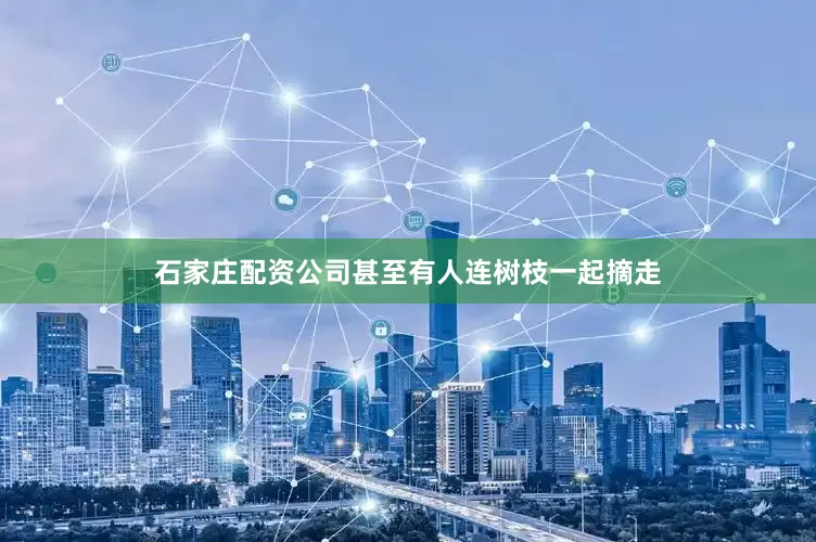石家庄配资公司甚至有人连树枝一起摘走